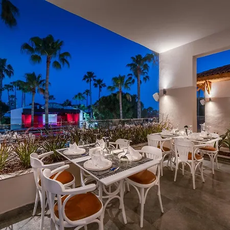 Trendy Palm Adults Only 5* Side