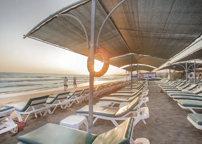 Trendy Palm Adults Only Hotel