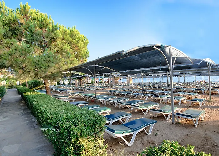 Trendy Palm Adults Only Side