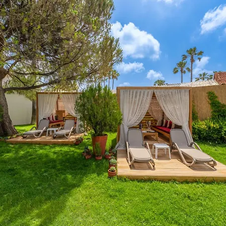 Hotel Trendy Palm