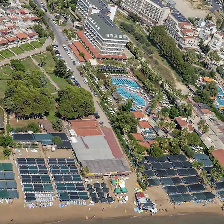 Trendy Palm Adults Only Side