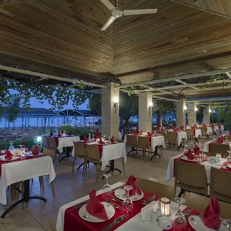 Trendy Palm Adults Only