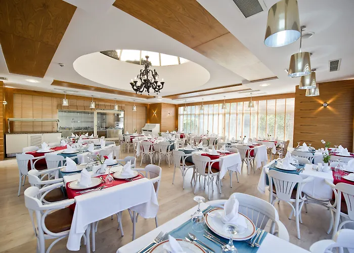 Trendy Palm Adults Only