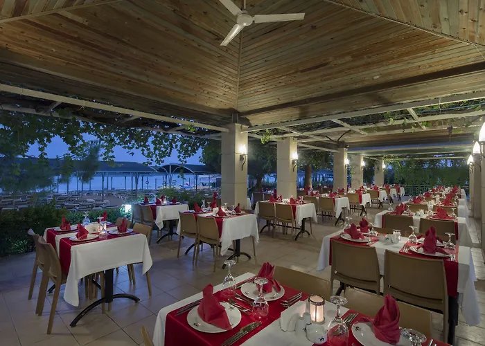 Trendy Palm Adults Only