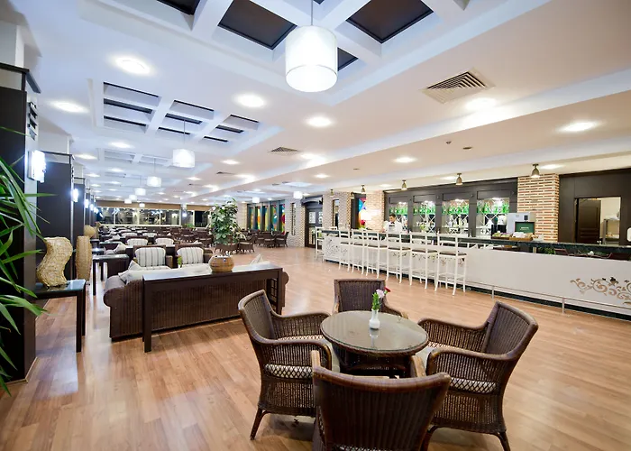 Trendy Palm Adults Only Side